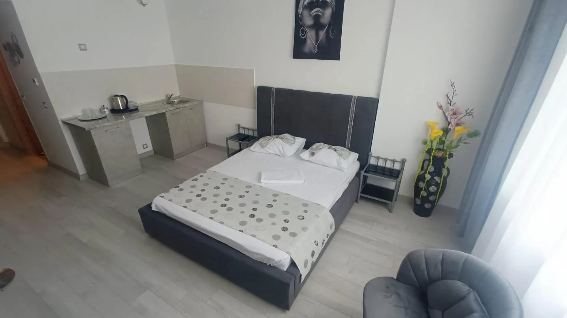 Apartment Eduard Elegance Studio 2 Bucharest Romania